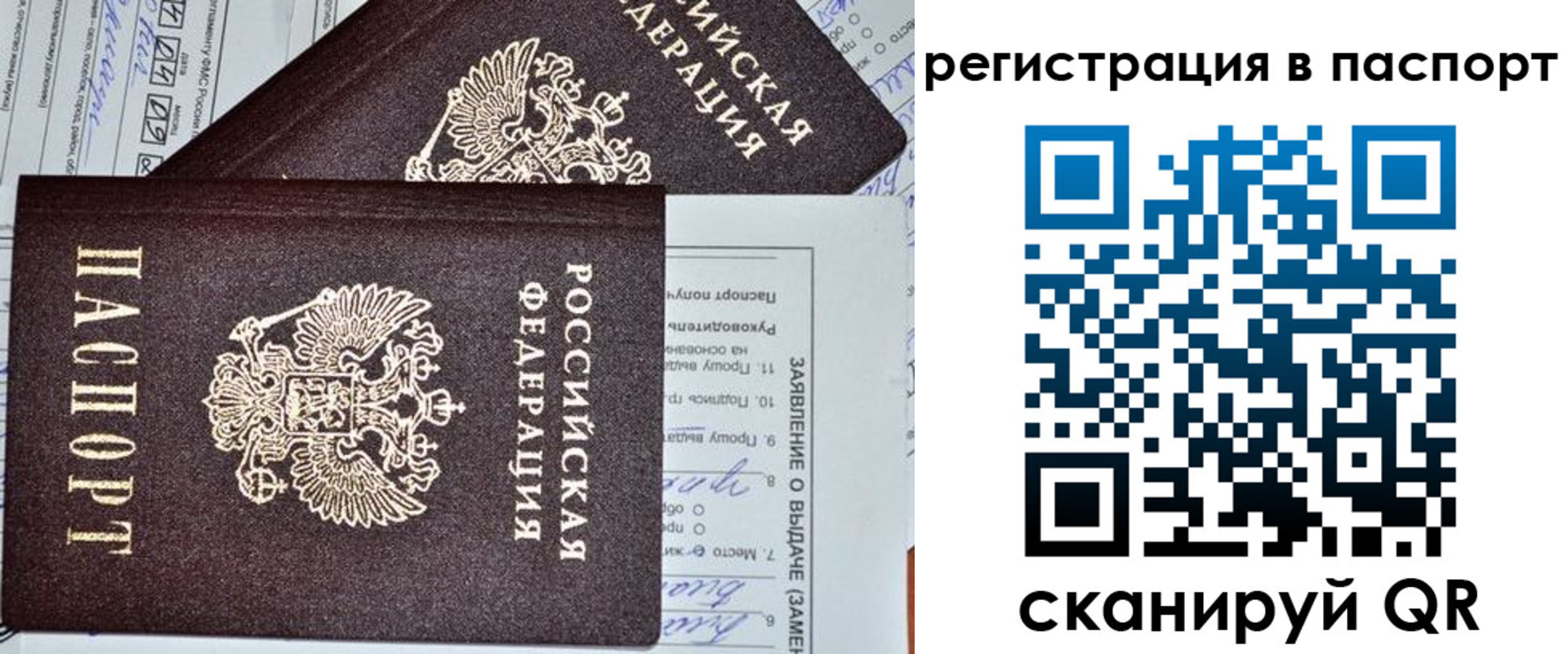 прописка законно в Лисках